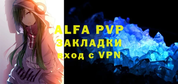 прущие грибы Вяземский