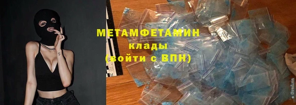 прущие грибы Вяземский