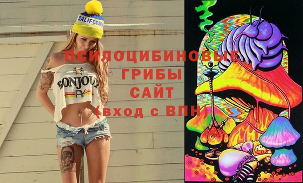 ешки Вязьма