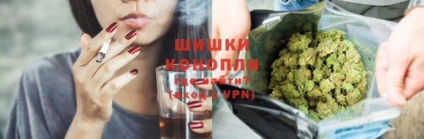 прущие грибы Вяземский