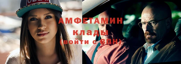 прущие грибы Вяземский