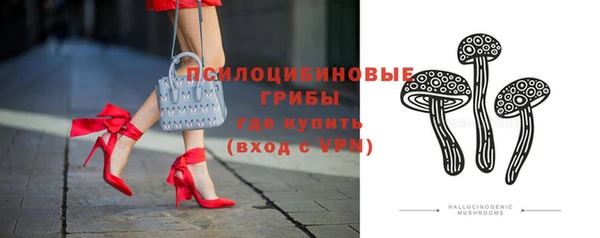 прущие грибы Вяземский