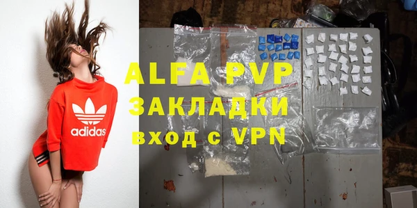 прущие грибы Вяземский