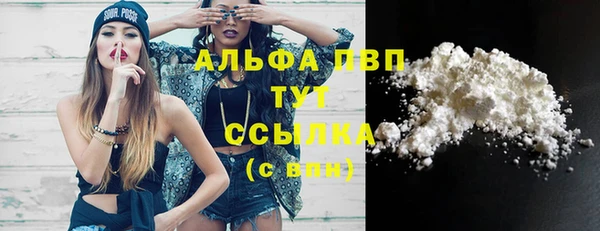 прущие грибы Вяземский